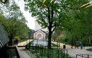 Современный вид на Ботанический сад и оранжерею