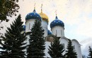 Успенский собор и птицы