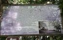Вниз — по Ялтинскому горно-лесному природному заповеднику