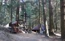 Савватьева «пустынька» в лесном массиве