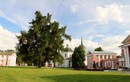 Лиственница в центре усадьбы