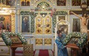 День памяти свв. Симеона Богоприимца и прор. Анны